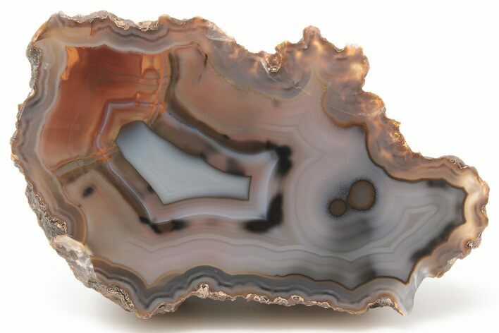 Colorful, Polished Condor Agate - Argentina #198569